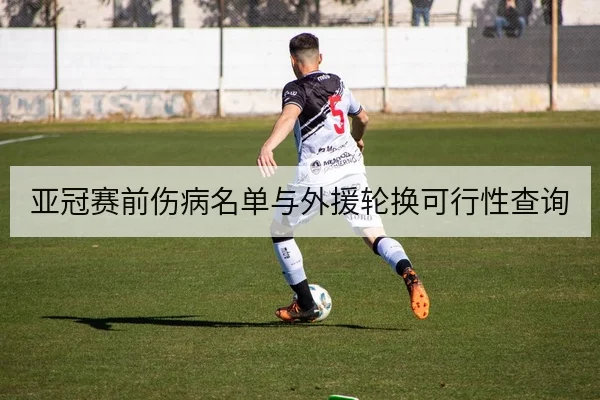 亚冠赛前伤病名单与外援轮换可行性查询